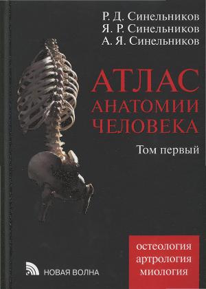 атлас синельникова 3 том скачать