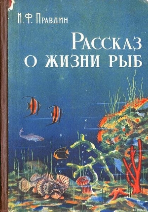 правдин рассказ о жизни рыб. Смотреть фото правдин рассказ о жизни рыб. Смотреть картинку правдин рассказ о жизни рыб. Картинка про правдин рассказ о жизни рыб. Фото правдин рассказ о жизни рыб