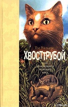 Читать Хвосттрубой, Или Приключения Молодого Кота