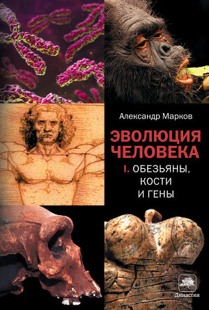 Читать Эволюция человека. Книга 1. Обезьяны, кости и гены
