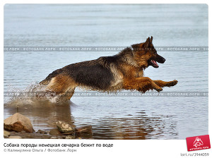 Дальше ты пойдешь один