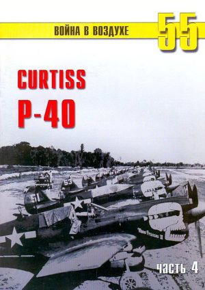 Читать Curtiss P-40 часть 4
