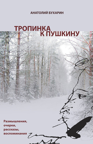 Читать Тропинка к Пушкину, или Думы о русском самостоянии
