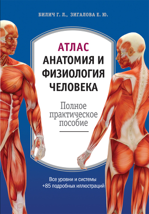 Читать Атлас: анатомия и физиология человека. Полное практическое пособие