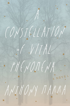A Constellation of Vital Phenomena