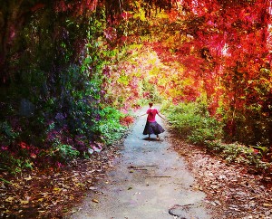 Элементарно 