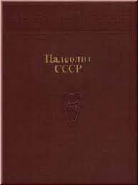 Читать Палеолит СССР