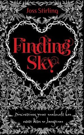 Читать Finding Sky