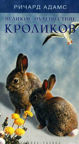 Читать Великое путешествие кроликов