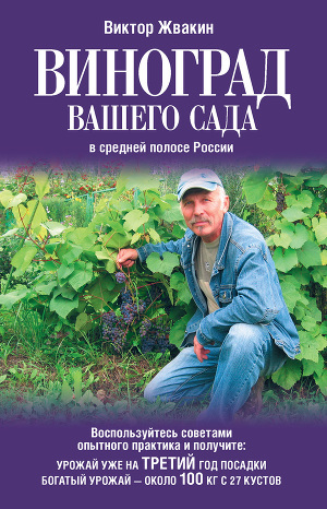 Читать Виноград вашего сада в средней полосе России