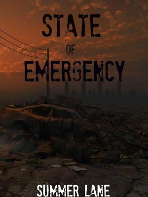 Читать State of Emergency