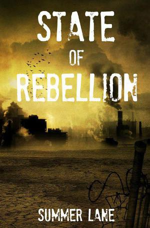 Читать State of Rebellion