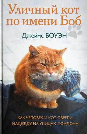 Читать Уличный кот по имени Боб. Как человек и кот обрели надежду на улицах Лондона