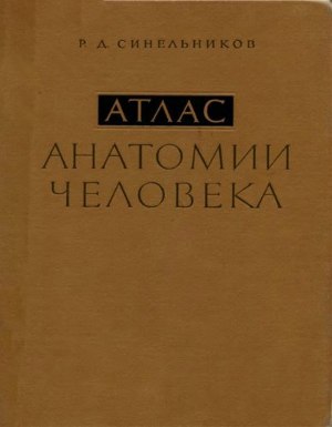 Атлас анатомии человека