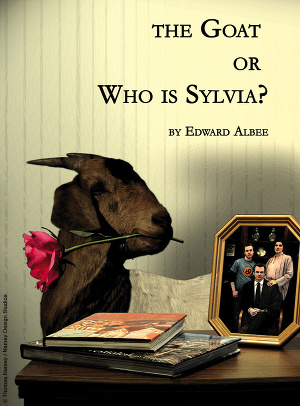 Читать Коза или кто такая Сильвия?