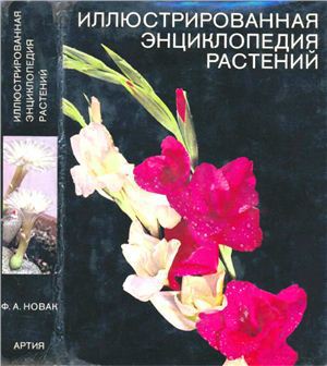 Читать Иллюстрированная энциклопедия растений