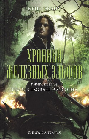 Читать Тьма, выкованная в огне