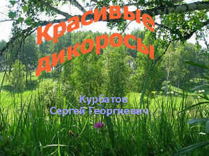 Красивые Дикоросы