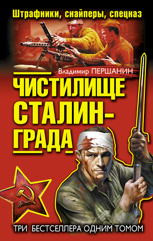 Читать Чистилище Сталинграда. Штрафники, снайперы, спецназ (сборник)