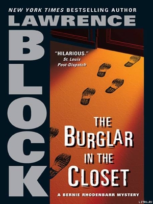 Читать The Burglar In The Closet