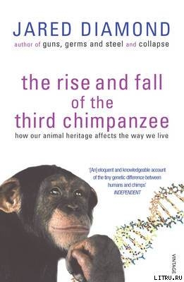 The rise and fall of the third chimpanzee