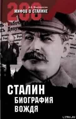 Читать Сталин: биография вождя