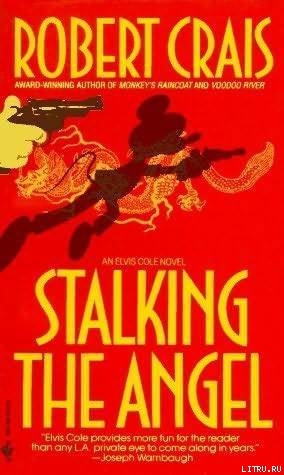 Stalking The Angel