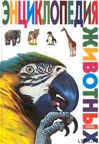 Читать Энциклопедия животных
