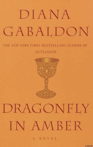 Dragonfly In Amber