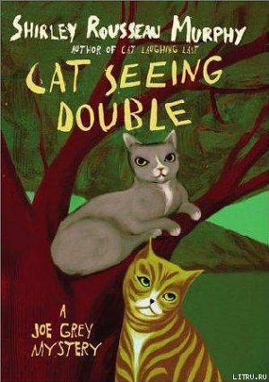 Cat Seeing Double