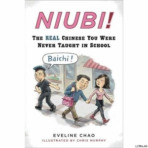 Niubi! The Real Chinese You Were Never Taught in School