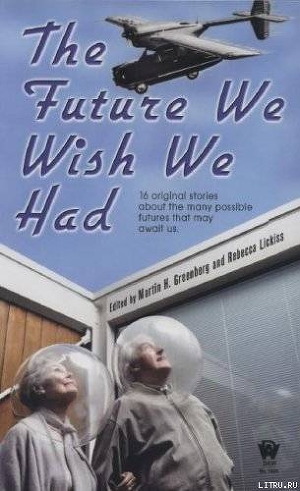 Читать The Future We Wish We Had