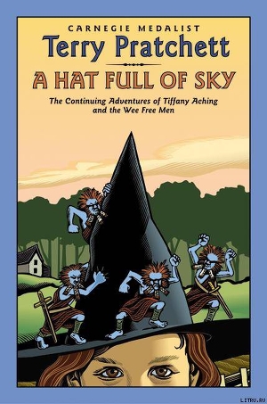 Читать A Hat Full Of Sky