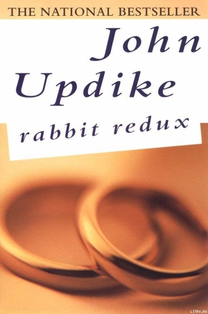 Читать Rabbit Redux