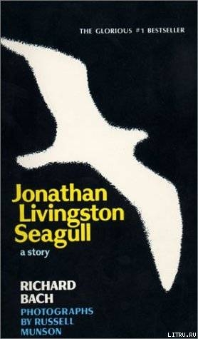 Читать Jonathan Livingston Seagull