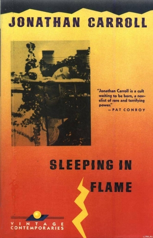 Читать Sleeping in Flame