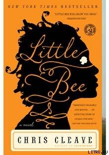 Читать Little Bee
