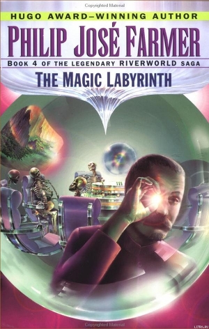 Читать THE MAGIC LABYRINTH