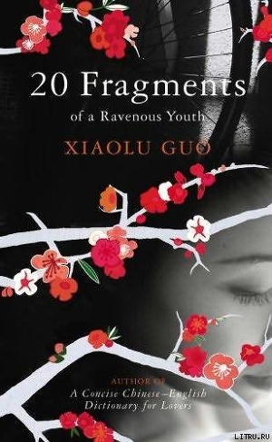 20 Fragments Of A Ravenous Youth