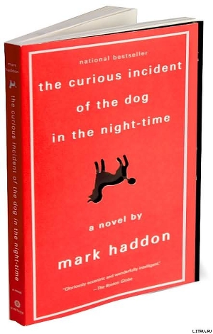 The Curious Incident of the Dog in the Night-Time
