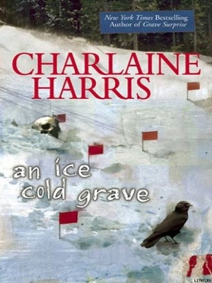 Читать An Ice cold Grave