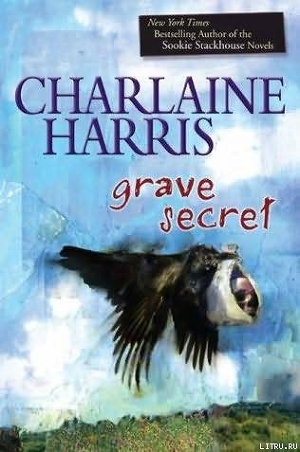 Читать Grave Secret