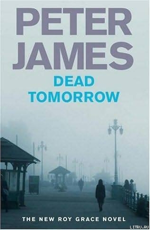 Читать Dead Tomorrow
