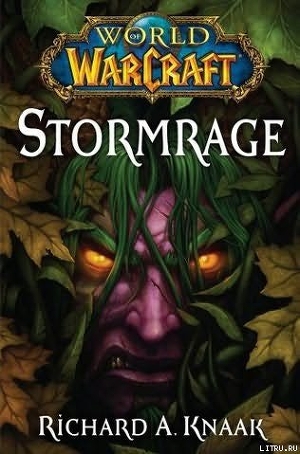 Читать Stormrage