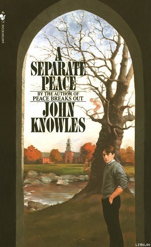 Читать A Separate Peace