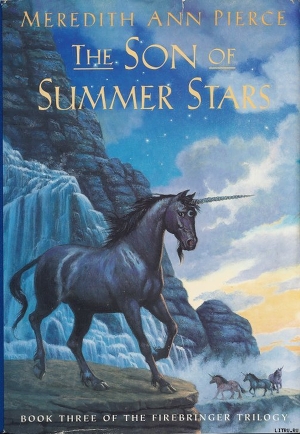 The Son of Summer Stars