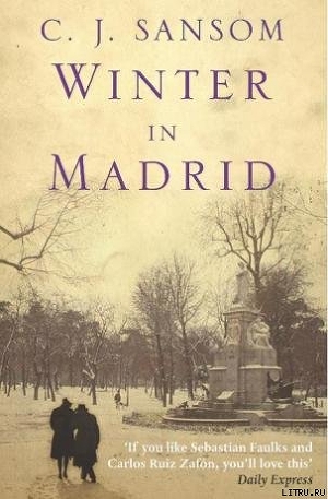 Читать Winter in Madrid