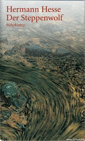 Читать Der Steppenwolf