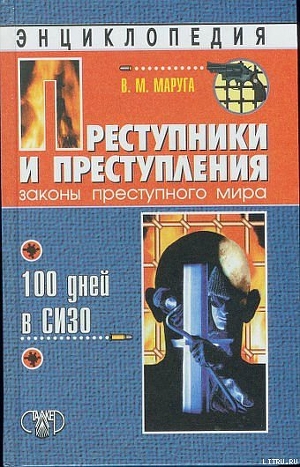 Читать Преступники и преступления. Законы преступного мира. 100 дней в СИЗО