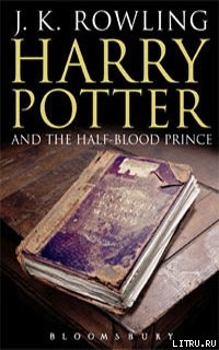 Гарри Поттер и Принц-Полукровка (перевод В. Сорокина)